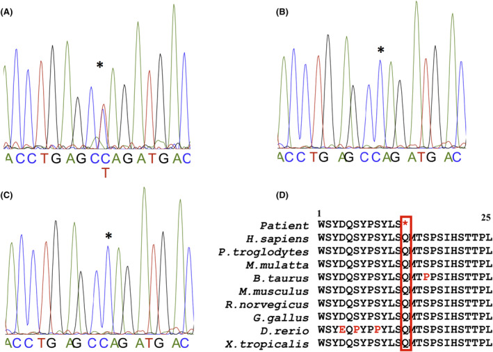 FIGURE 3