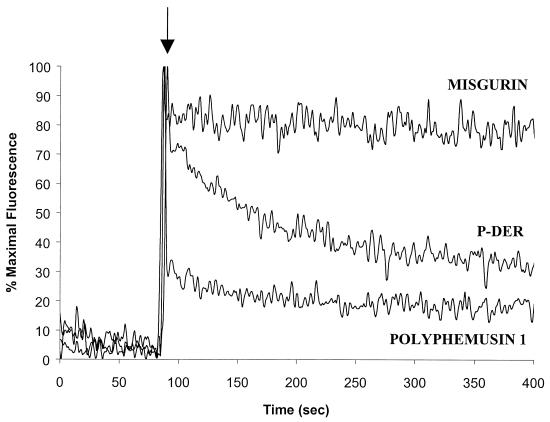 FIG. 8.