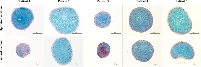 FIG. 5.