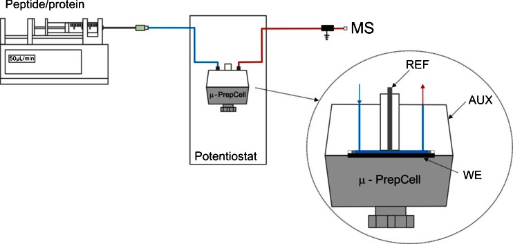 Fig. 1