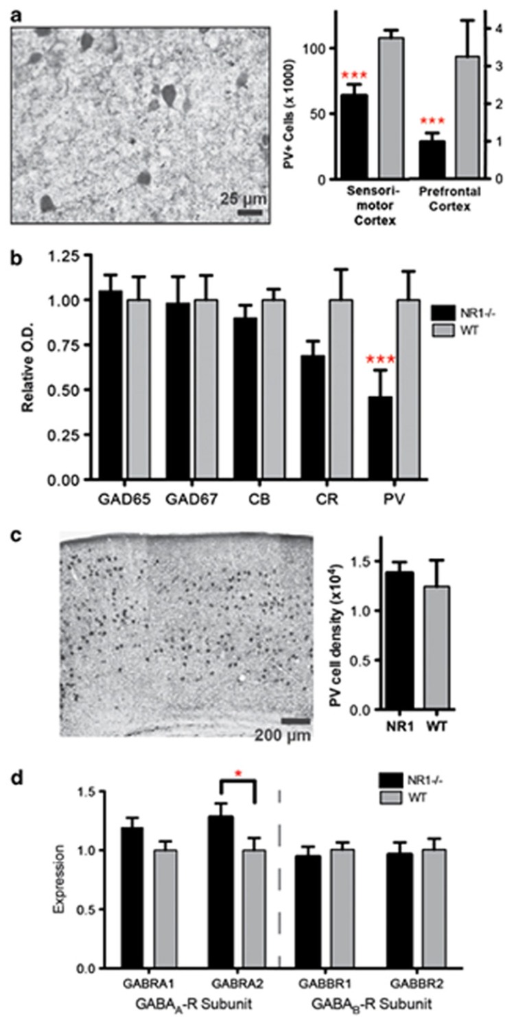 Fig. (1)