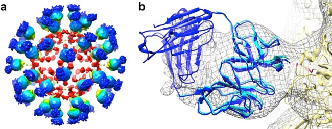 FIG 3