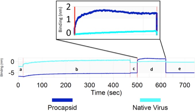 FIG 6