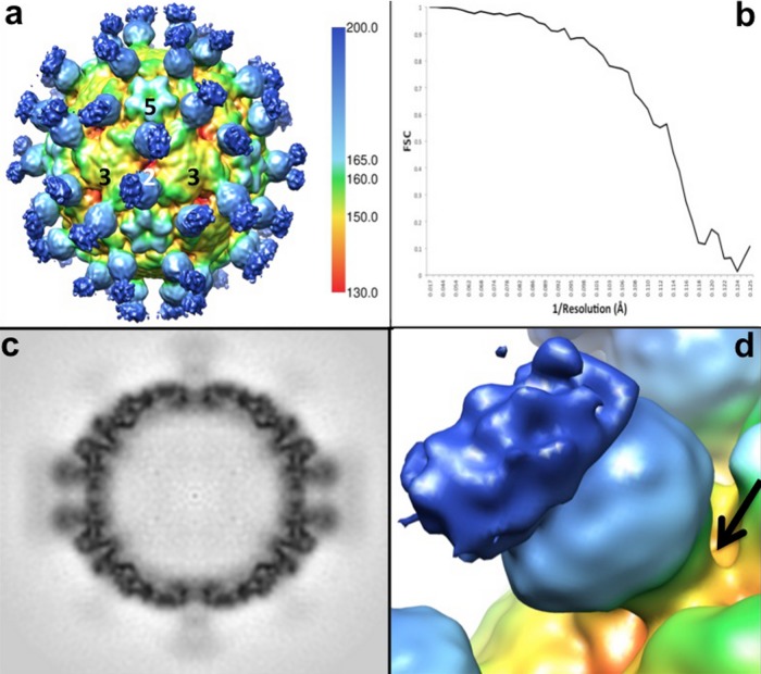 FIG 2