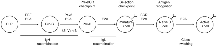 Figure 4.1