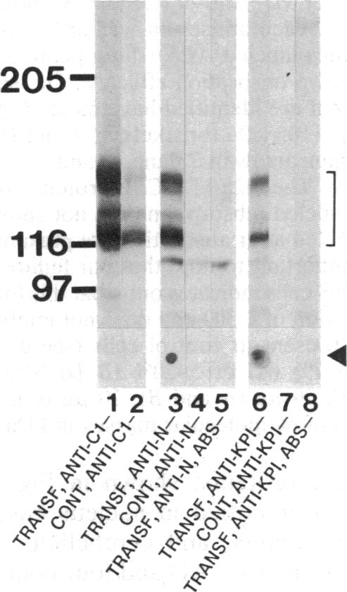 graphic file with name pnas00283-0336-a.jpg