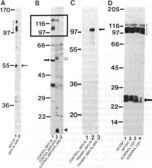 graphic file with name pnas00283-0337-a.jpg