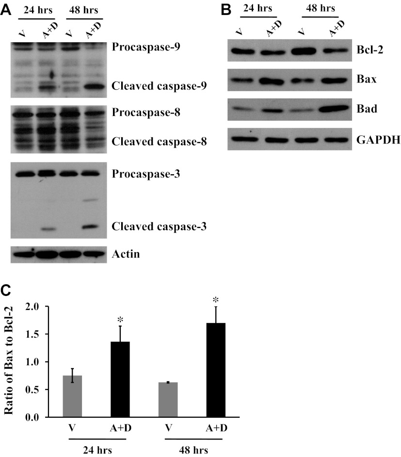 Fig. 5.