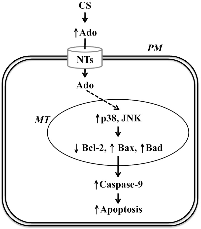 Fig. 7.