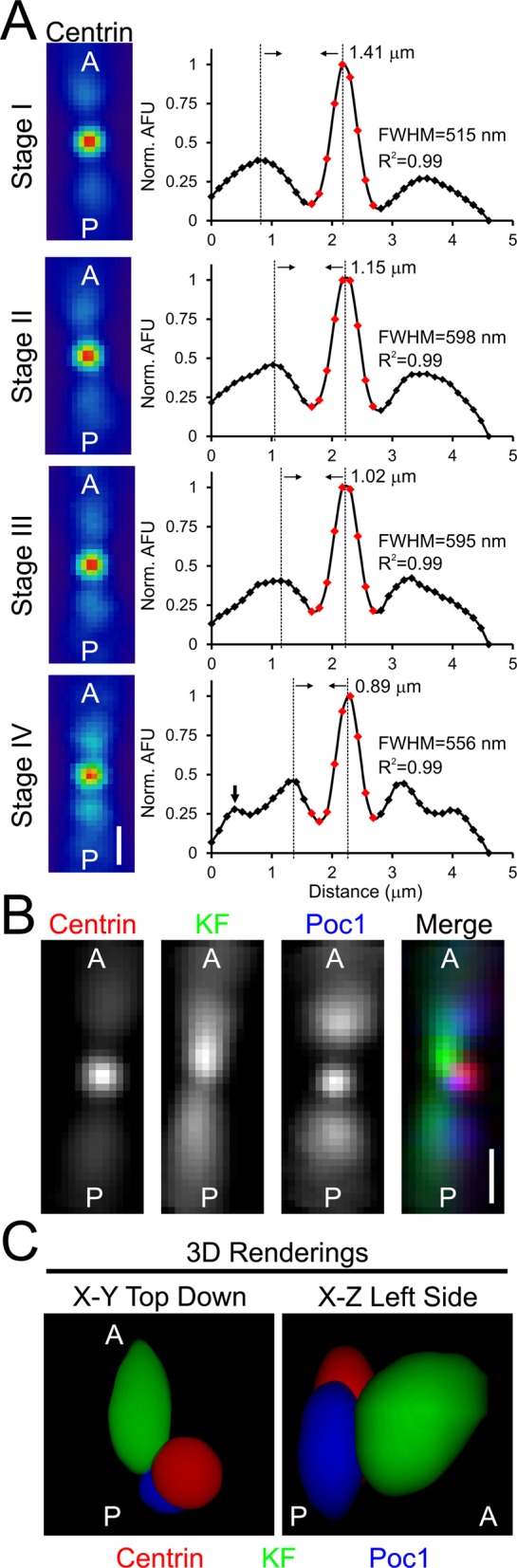 Fig. 8.