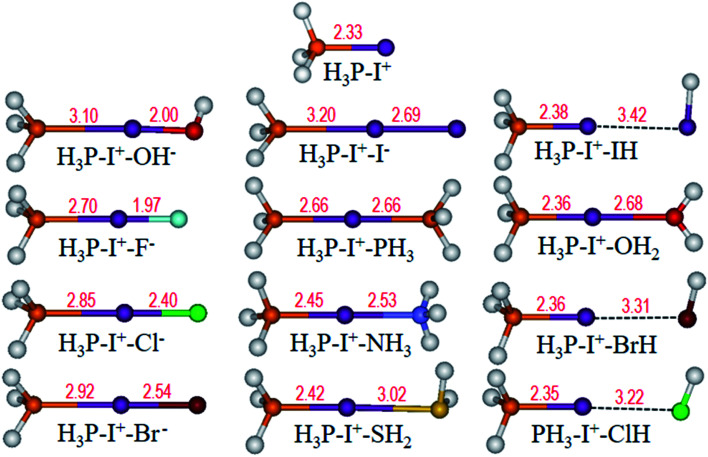 Fig. 10