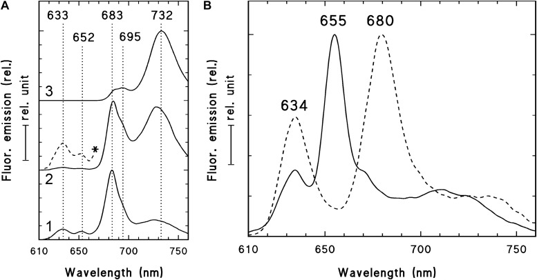 FIGURE 3