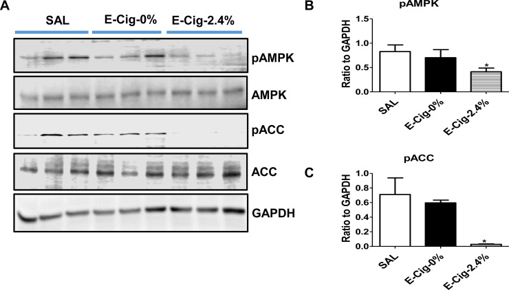 Fig 5