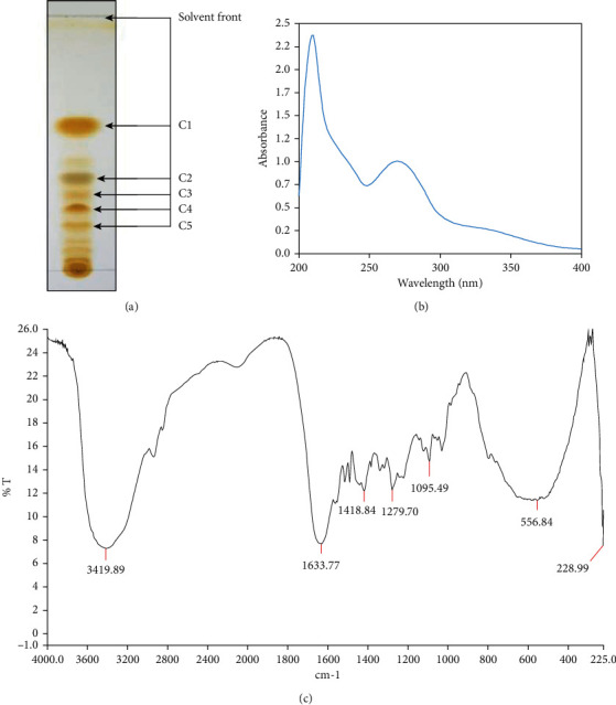 Figure 7