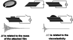 Fig. 1