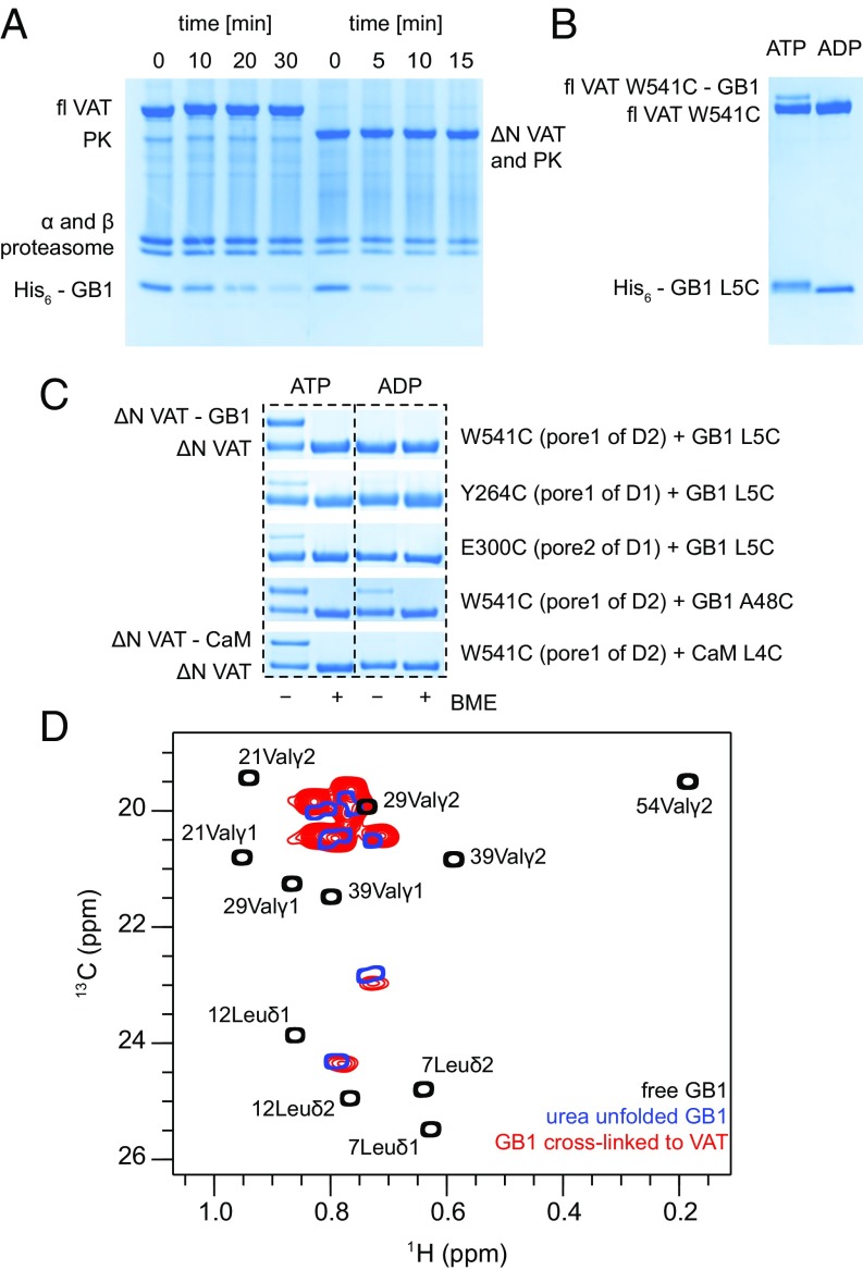 Fig. 2.