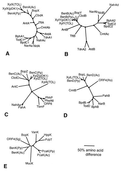 FIG. 6