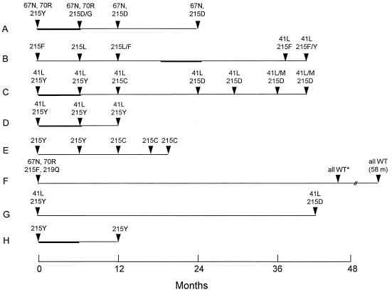 FIG. 1