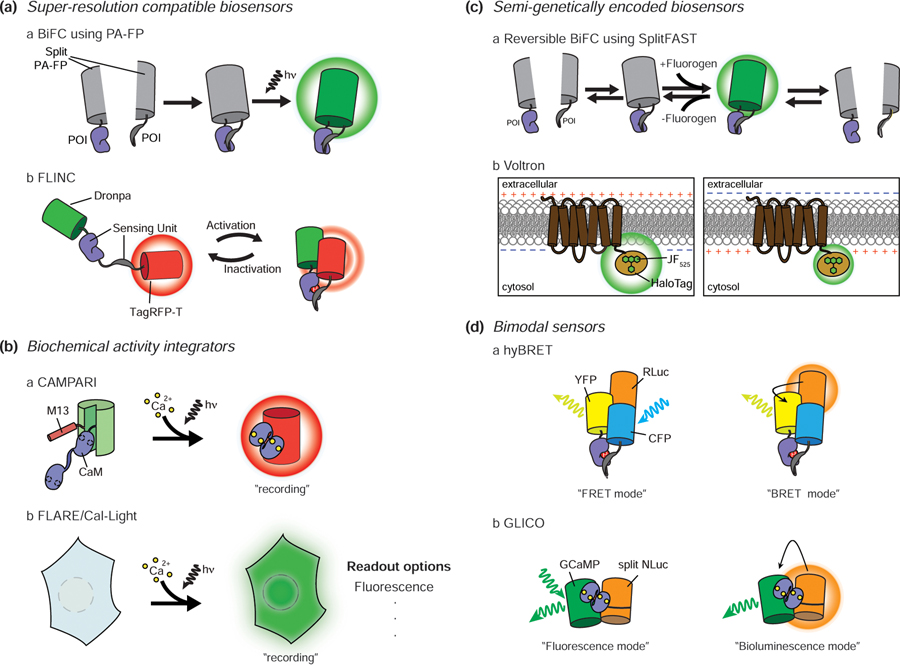 Figure 2.