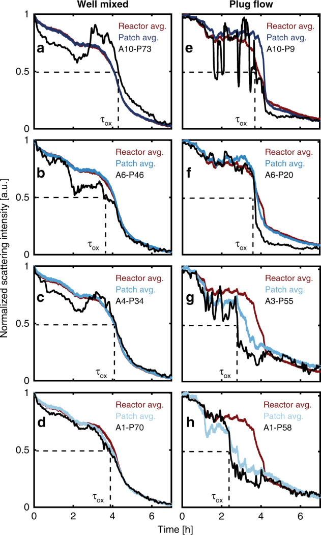 Fig. 7