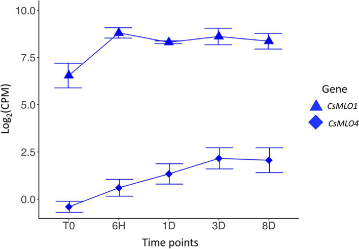 FIGURE 4