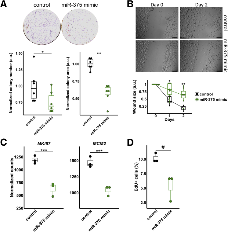 Figure 6