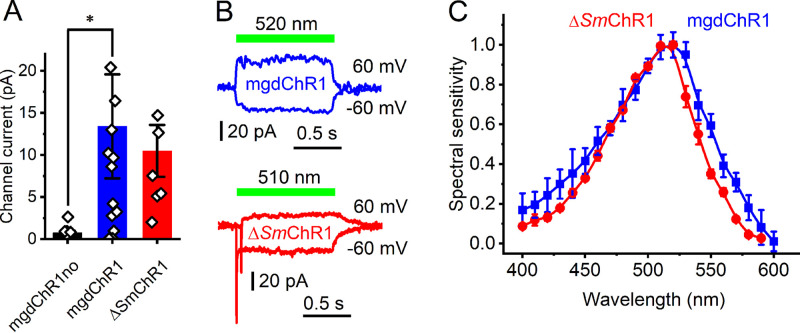 FIG 6