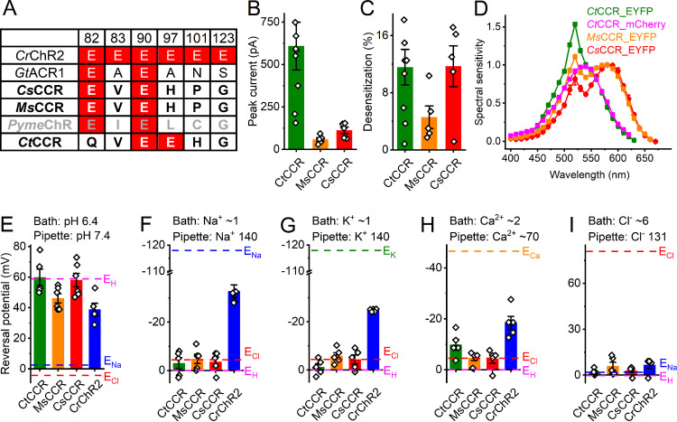 FIG 2