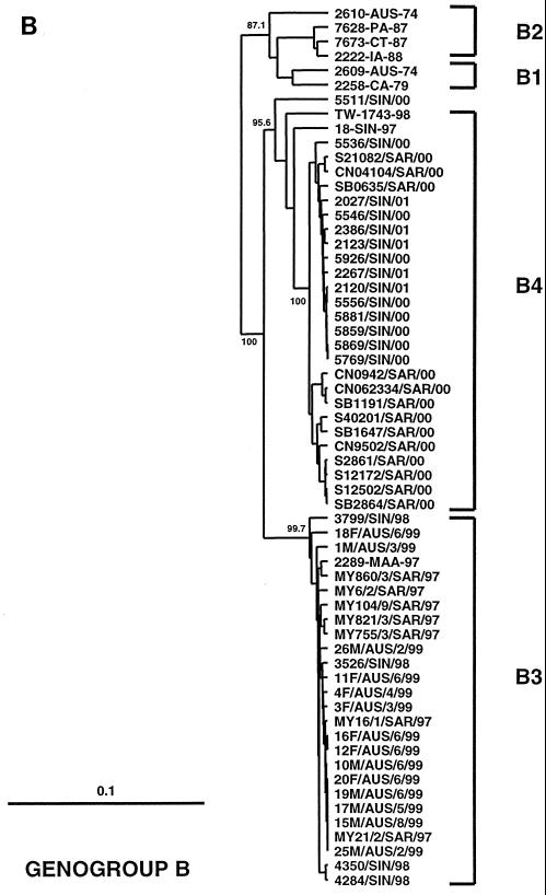 FIG. 1