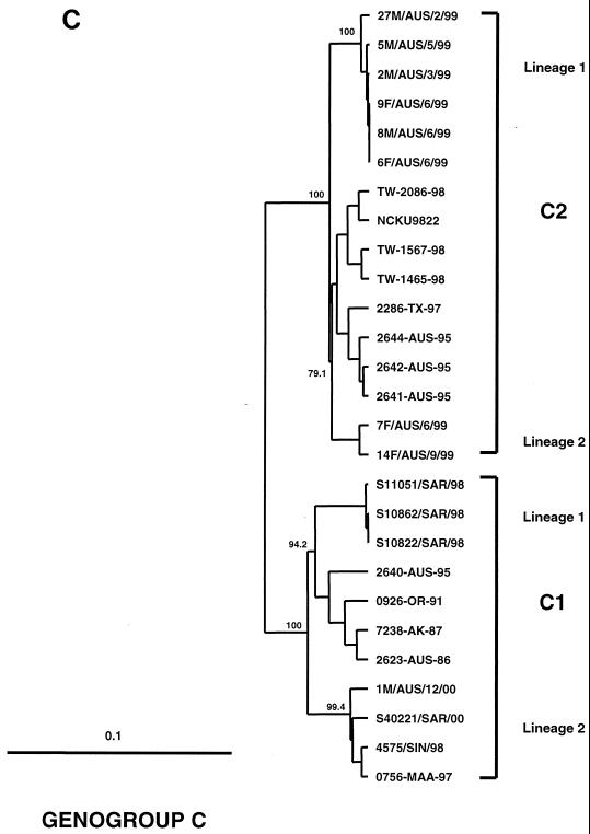 FIG. 1