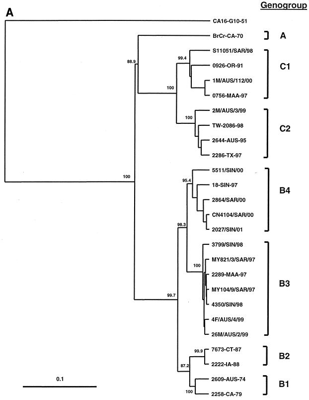 FIG. 1