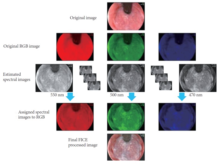 Fig. 6.