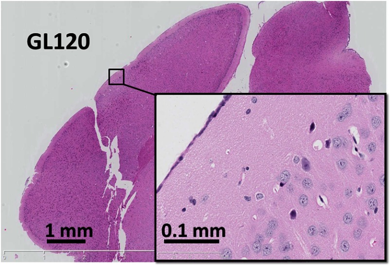 Fig. 5