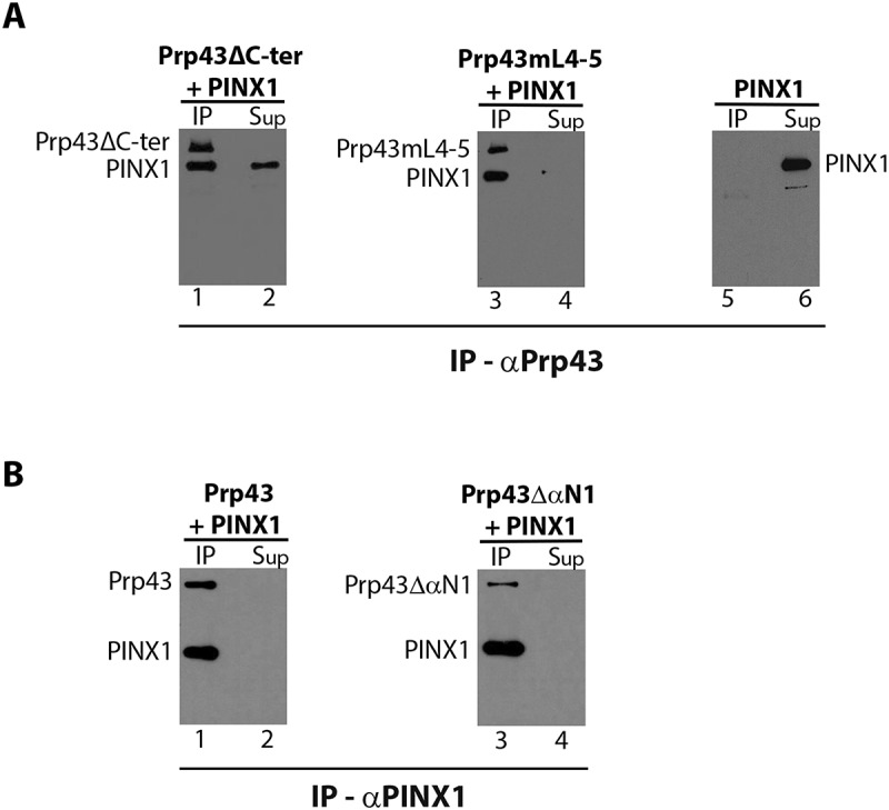 Figure 4.