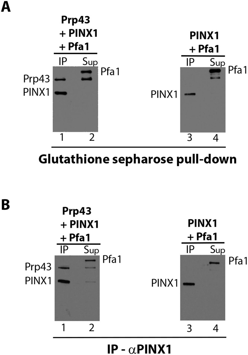 Figure 6.