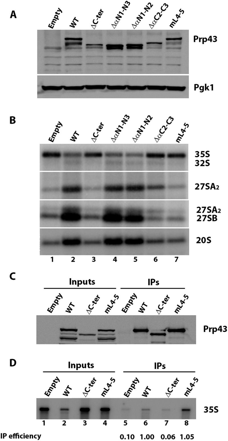 Figure 7.