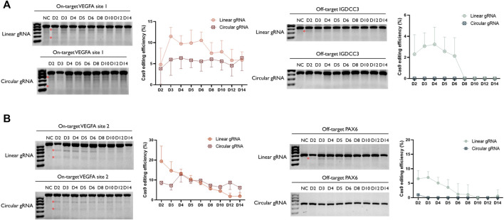 FIGURE 4