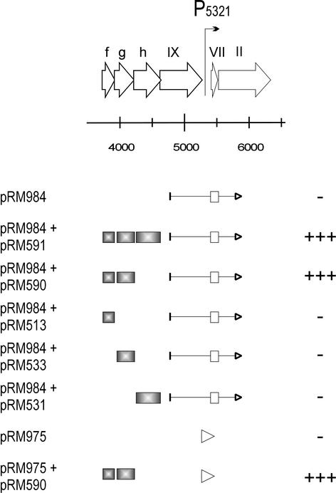 FIG. 7.