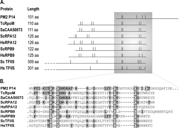 FIG. 8.