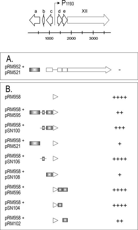 FIG. 5.