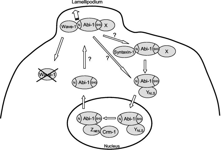 FIG. 9.