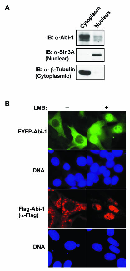 FIG. 7.