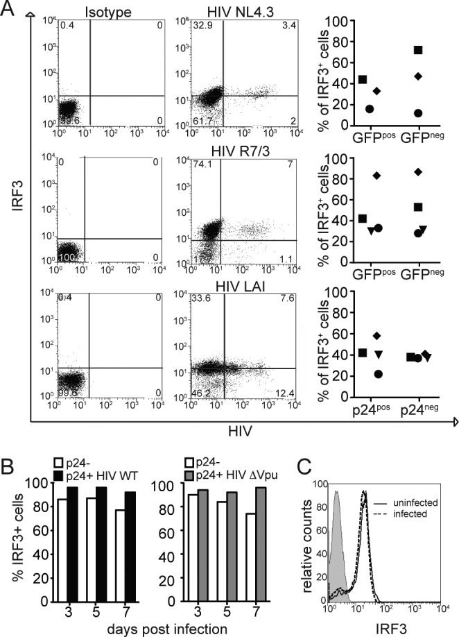 FIG 3