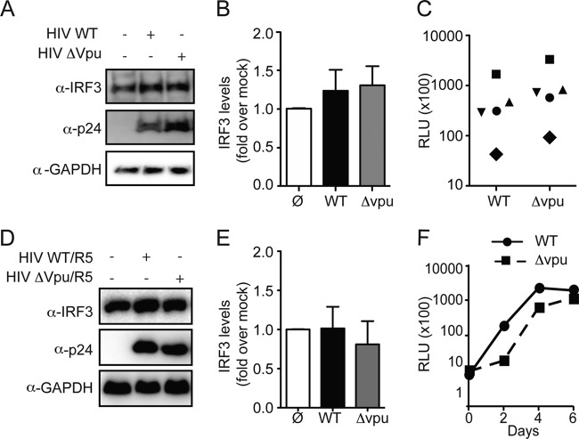 FIG 2