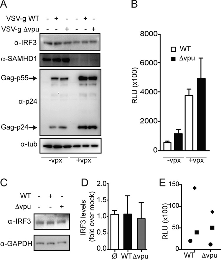 FIG 4