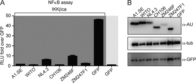 FIG 8