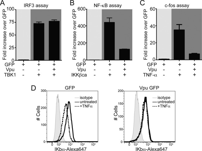 FIG 6