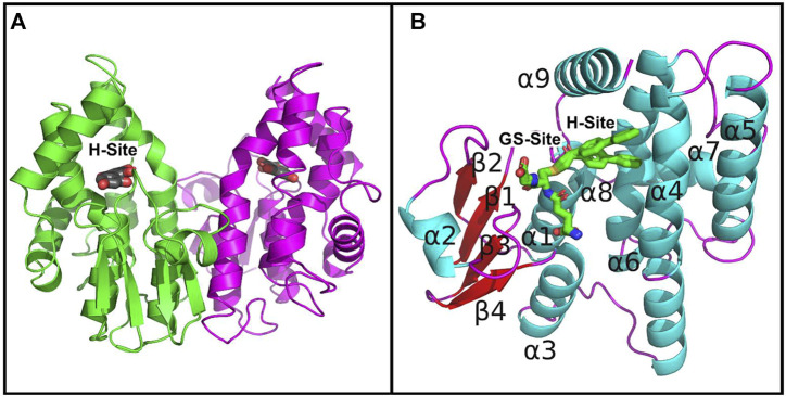 FIGURE 1