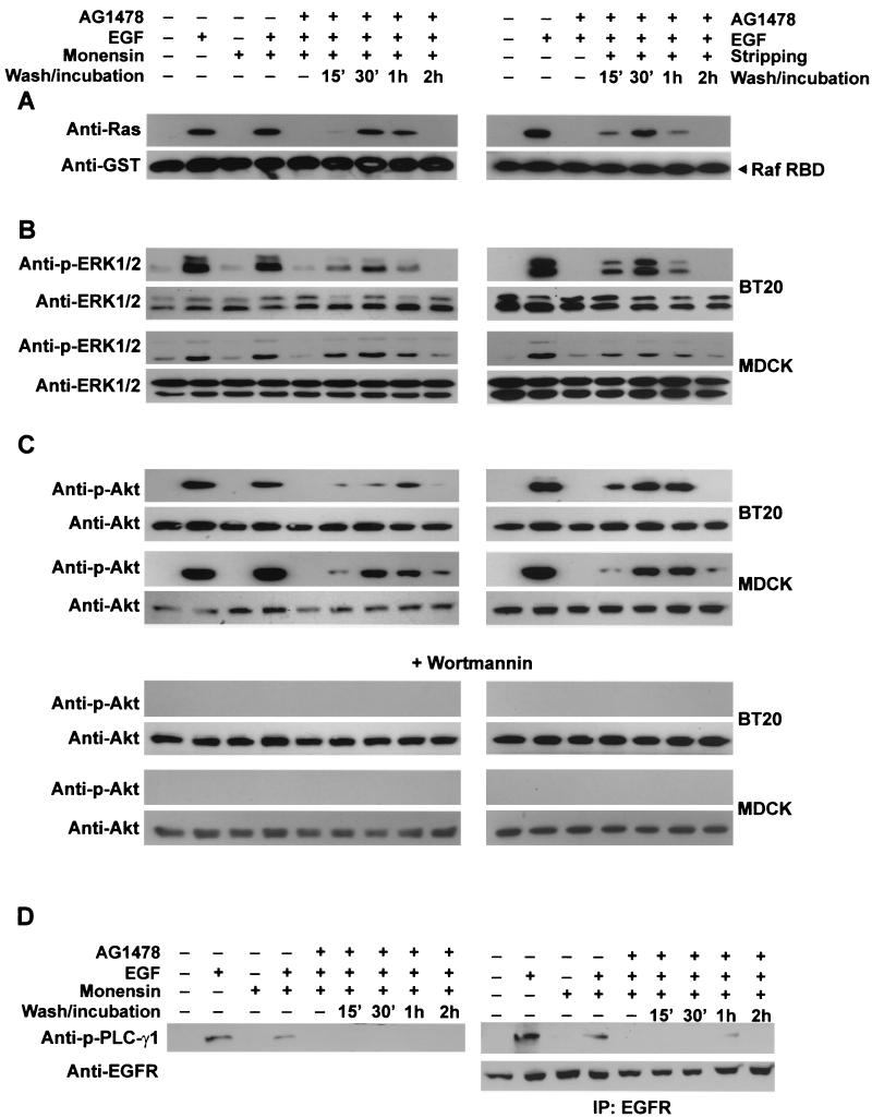 FIG. 6.