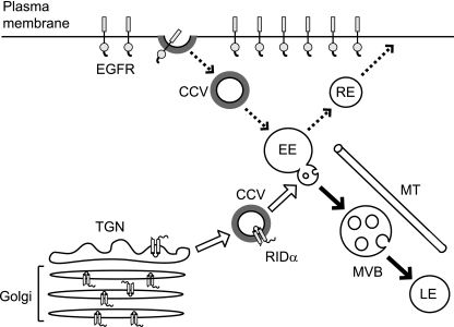 FIG. 8.